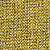 Annie 46500 mustard.jpg